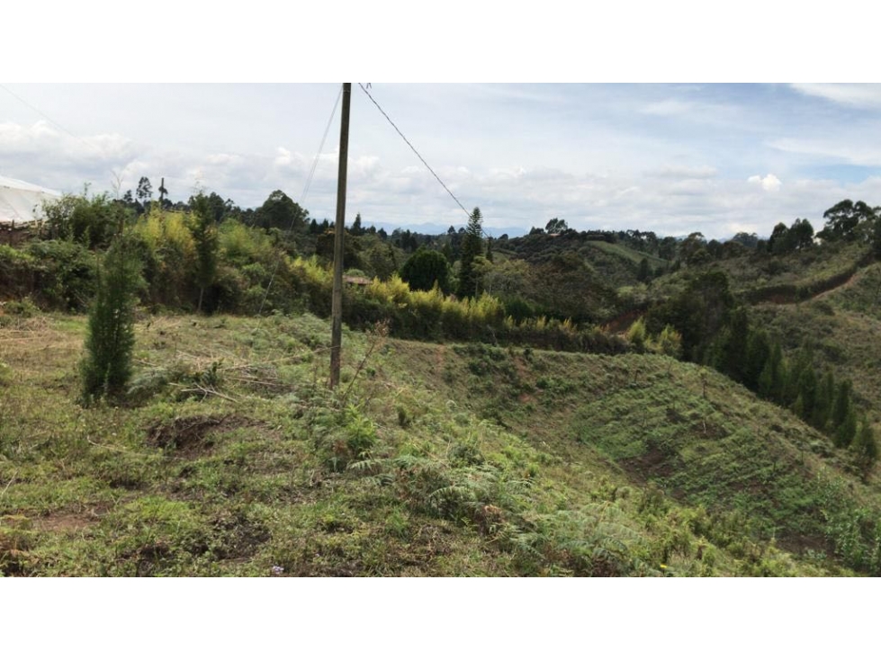 Lote para desarroyar proyecto Guarne — foto 4