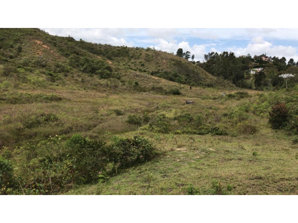 Lote para desarroyar proyecto Guarne — foto 5