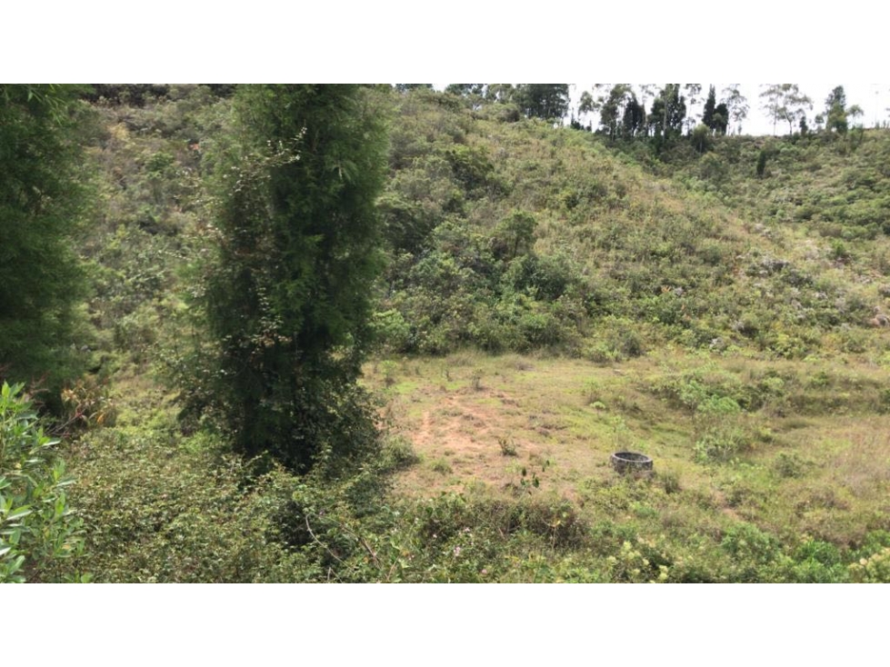 Lote para desarroyar proyecto Guarne — foto 6