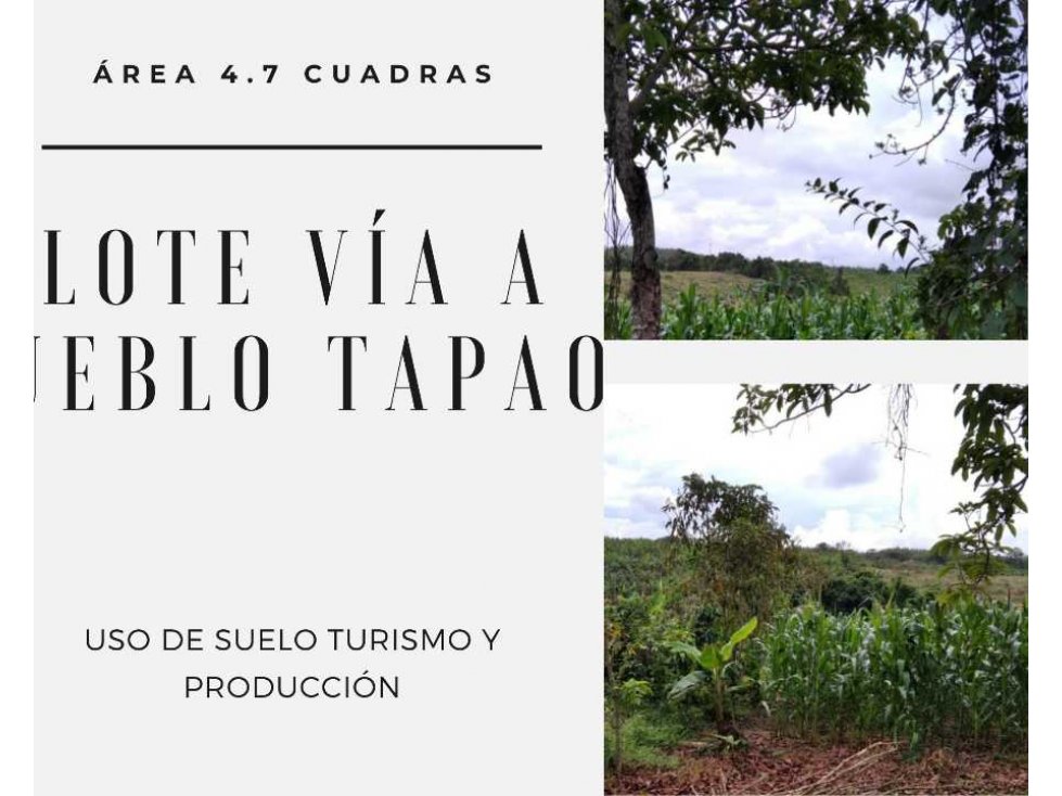 LOTE PARA PROYECTO TURÍSTICO Y PRODUCTIVO Pueblo Tapao Quindio
