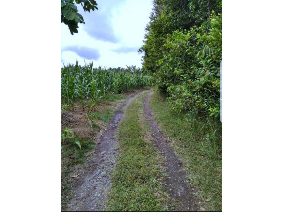 LOTE PARA PROYECTO TURÍSTICO Y PRODUCTIVO Pueblo Tapao Quindio — foto 3