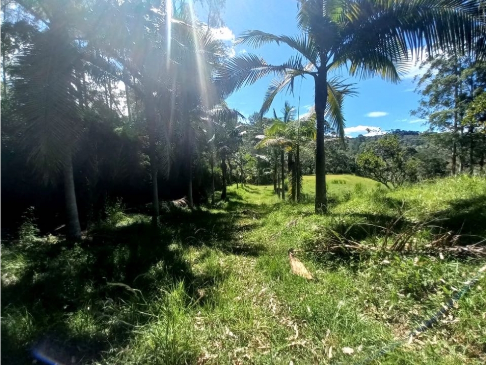 Lote para Arriendo Via Don Diego Llanorande Perfecto para Comercio — foto 6