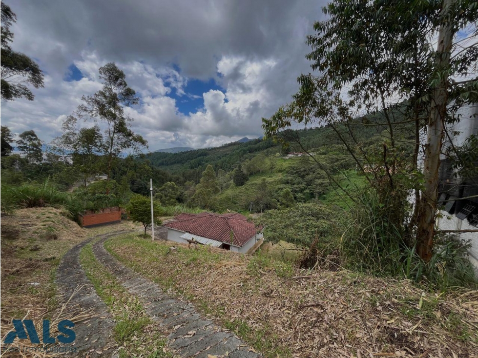 Lote para uso industrial o agrícola y una constru...(MLS#255922) - 1
