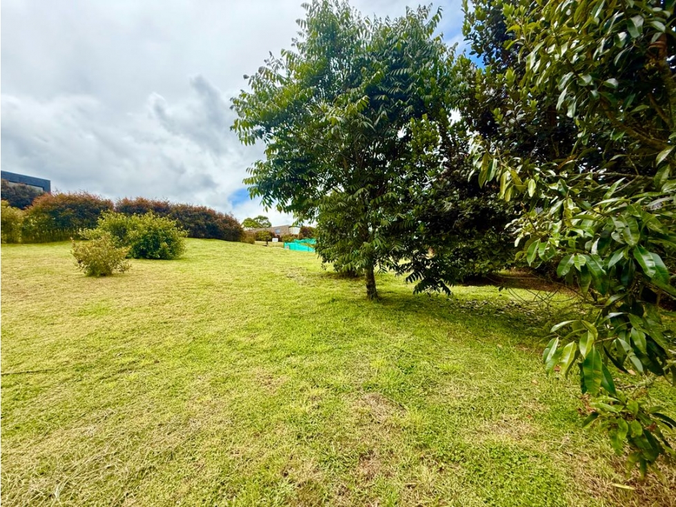 Lote Para Venta en Alto de Palmas — foto 2