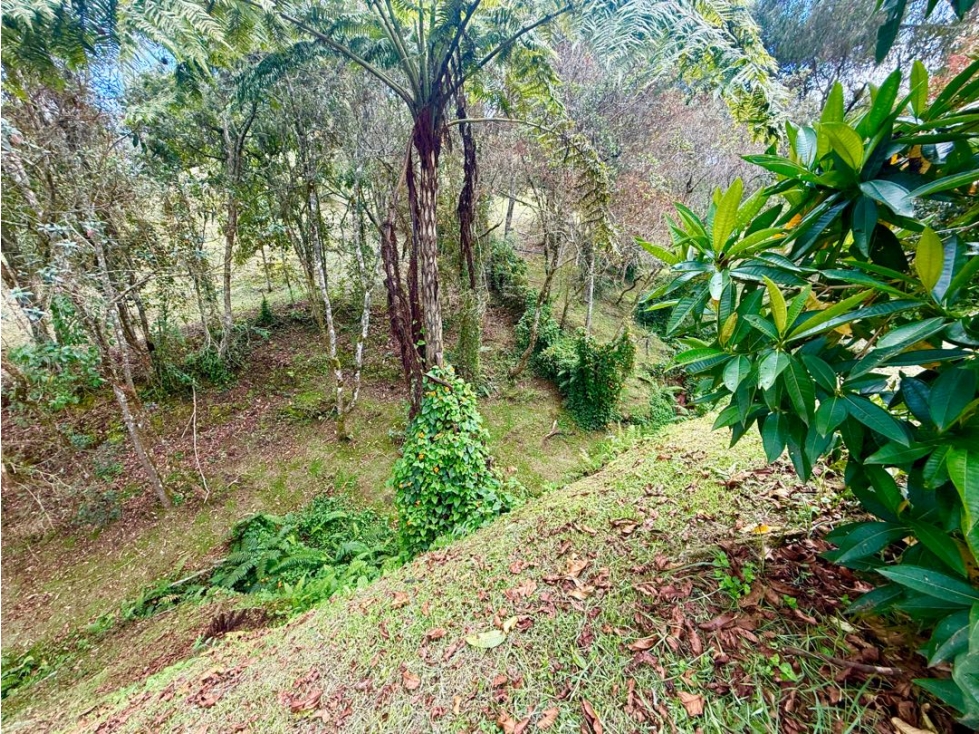 Lote Para Venta en Alto de Palmas — foto 4