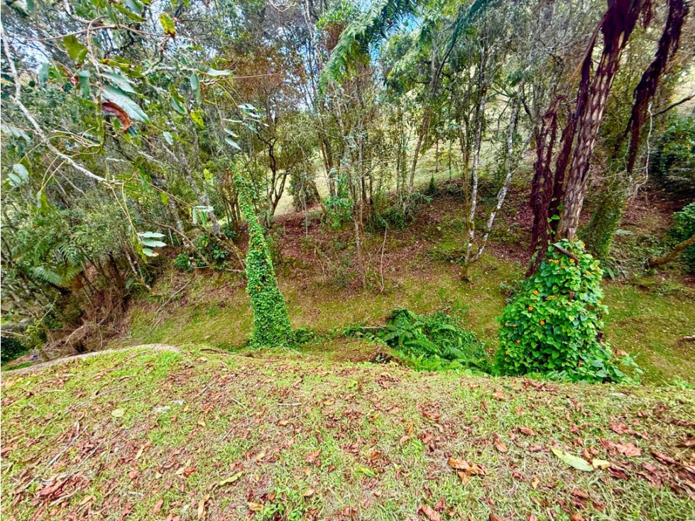 Lote Para Venta en Alto de Palmas — foto 5