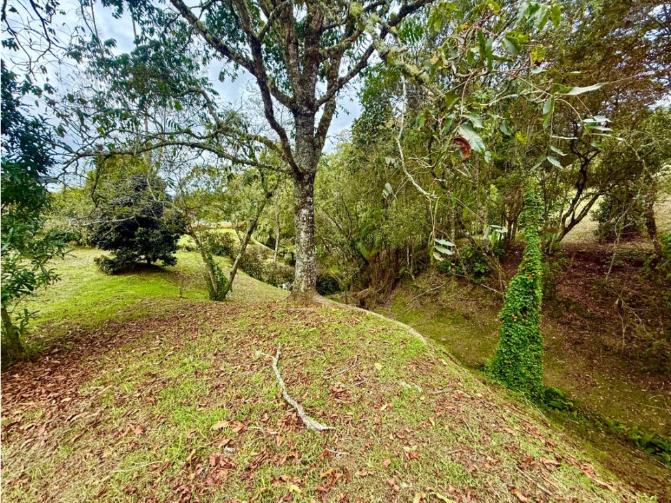 Lote Para Venta en Alto de Palmas — foto 6
