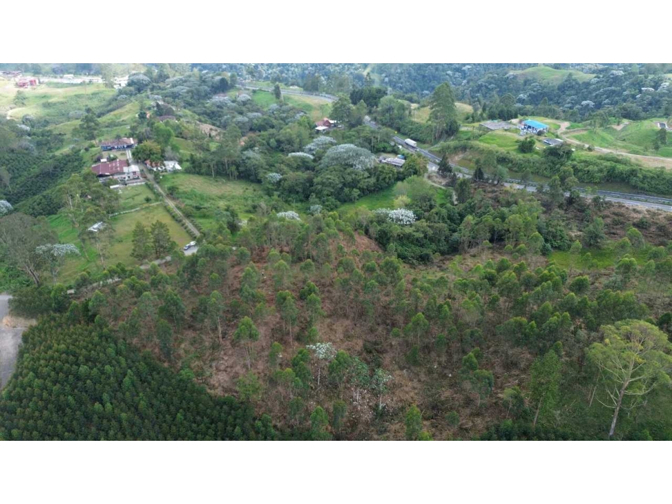 Lote esquinero con frente sobre la doble calzada Pereira - Armenia — foto 6