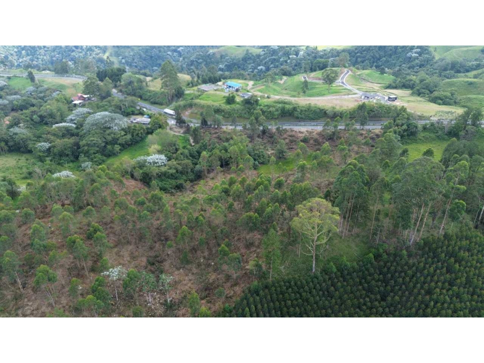 Lote esquinero con frente sobre la doble calzada Pereira - Armenia — foto 5