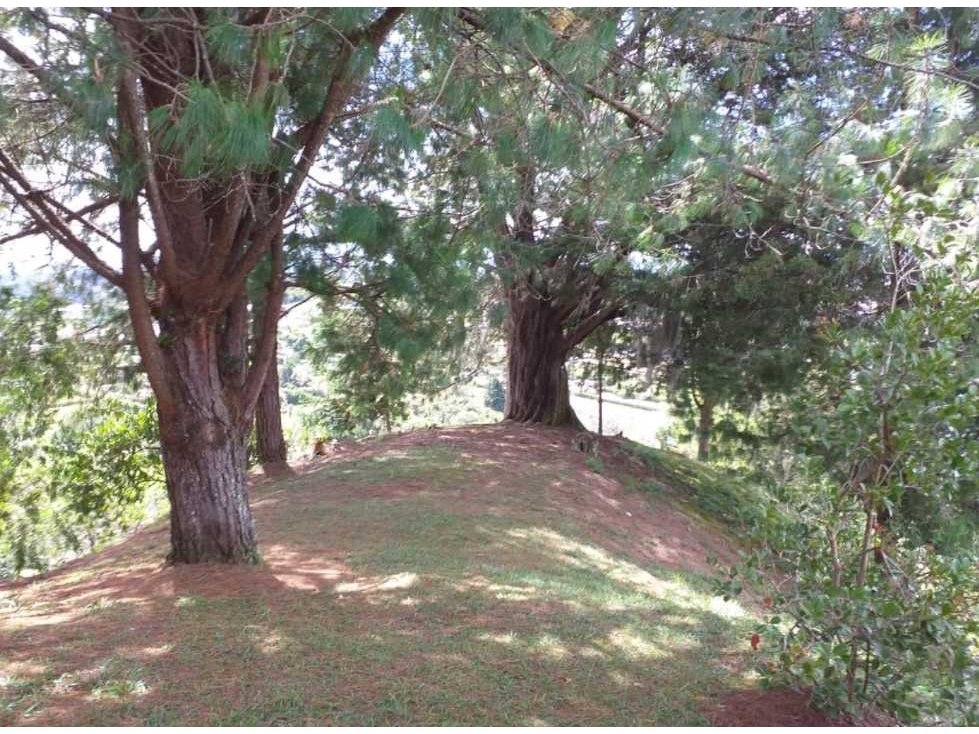 LOTE EN VENTA RIONEGRO - 2
