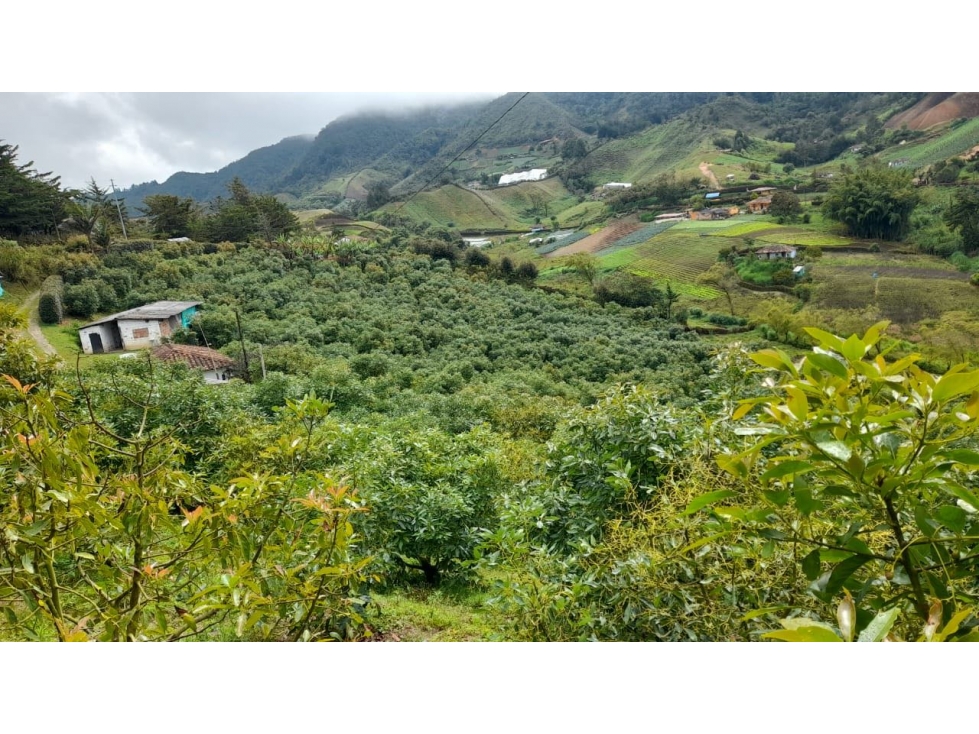 Lote para la Venta en El Santuario Vereda Pantanillo — foto 2