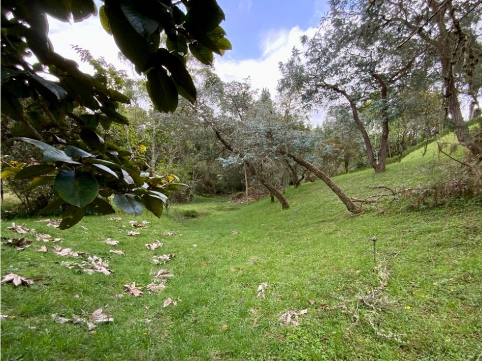 Venta Lote Inmerso en Bosque Parcelacion Alto Palmas — foto 6