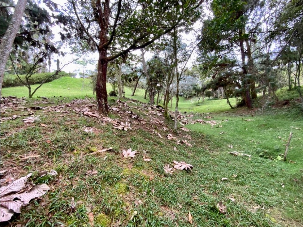 Venta Lote Inmerso en Bosque Parcelacion Alto Palmas — foto 4