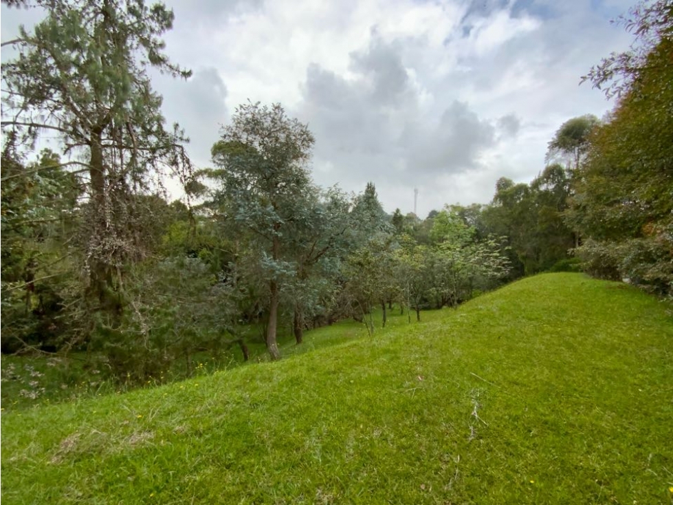 Venta Lote Inmerso en Bosque Parcelacion Alto Palmas — foto 5