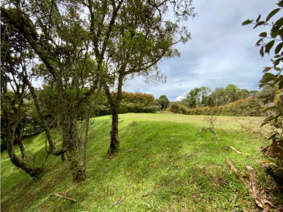 venta Lote Parcelacion Alto Palmas — foto 5