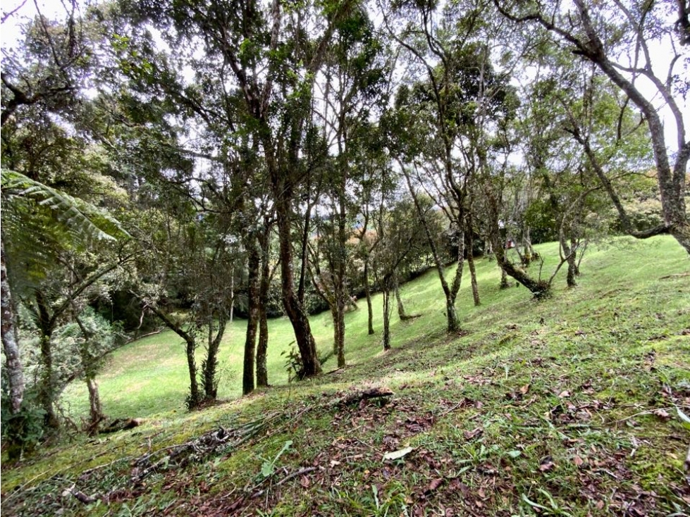 venta Lote Parcelacion Alto Palmas — foto 2