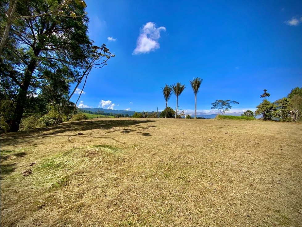 Venta Espectacular Lote vista 360 Parcelacion Alto Palmas