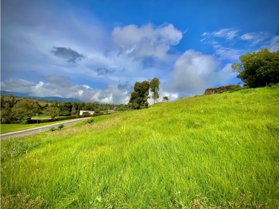 Venta Lote Exotica Vista Parcelacion Alto Palmas — foto 4