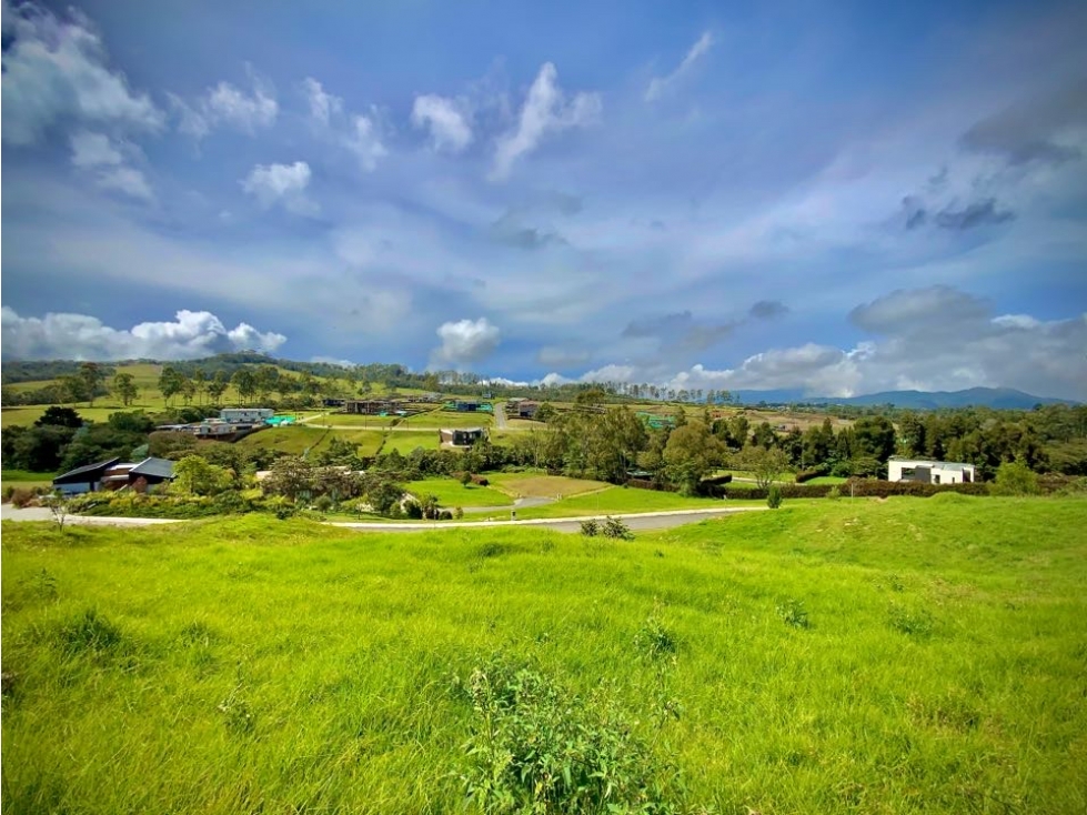 Venta Lote Exotica Vista Parcelacion Alto Palmas — foto 3