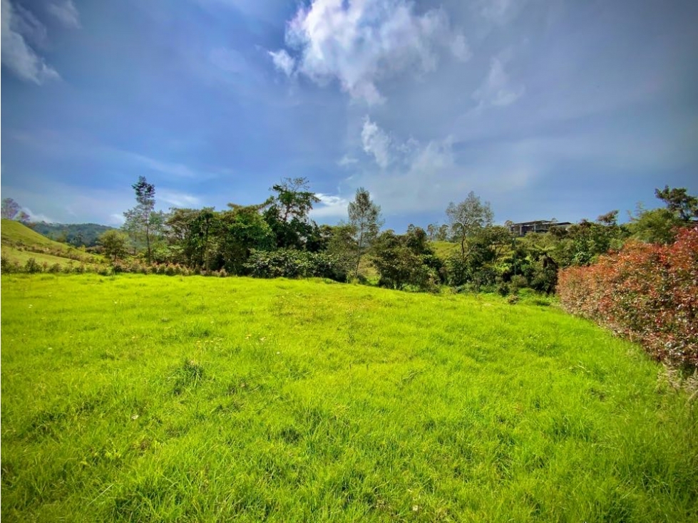 Venta Lote Plano con Quebrada Parcelacion Alto Palmas — foto 3