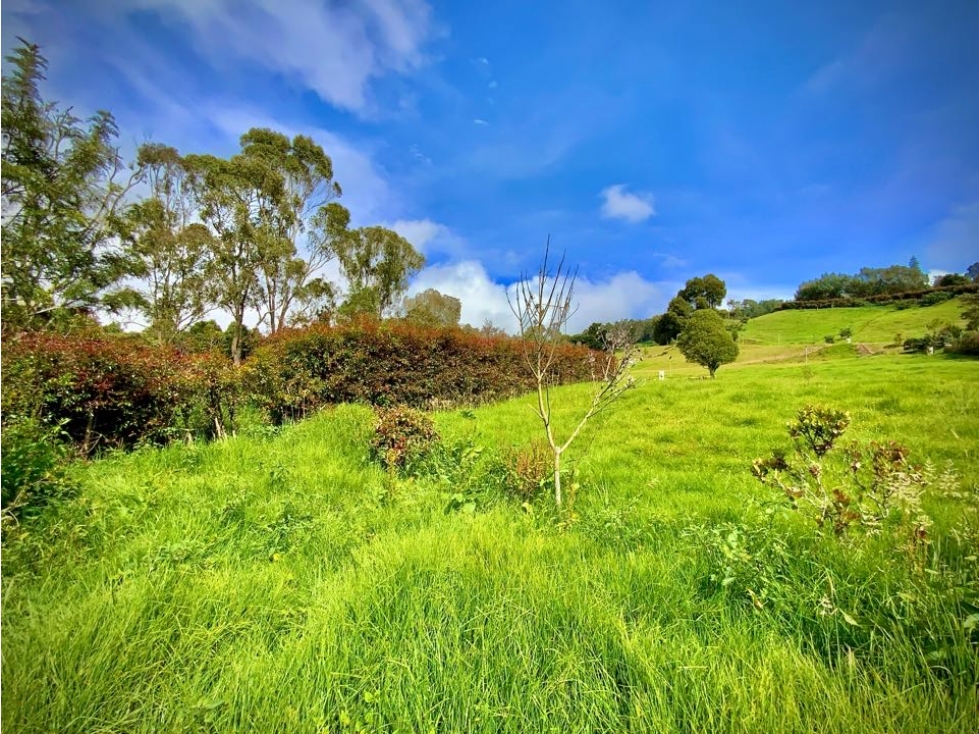 Venta Lote Plano con Quebrada Parcelacion Alto Palmas — foto 4