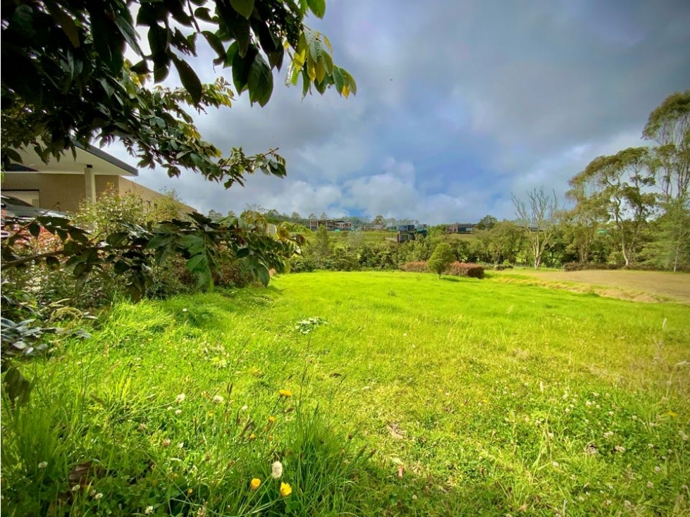 Venta Lote Plano con Quebrada Parcelacion Alto Palmas — foto 5