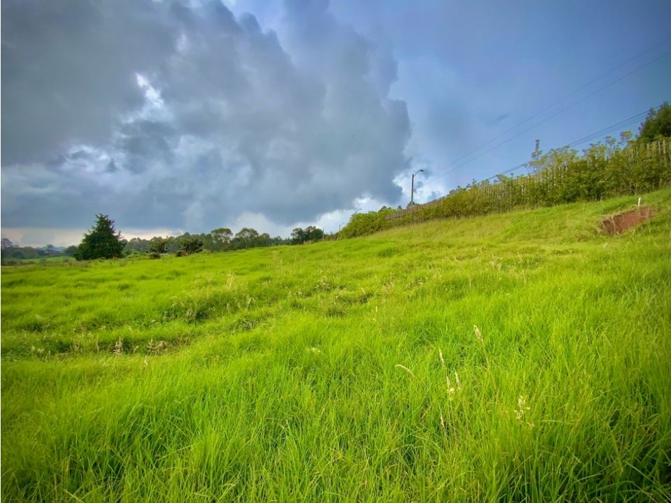 Venta Lote Plano Exotica Vista Parcelacion Alto Palmas — foto 4