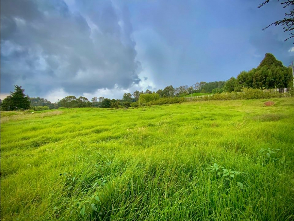 Venta Lote Plano Exotica Vista Parcelacion Alto Palmas — foto 6
