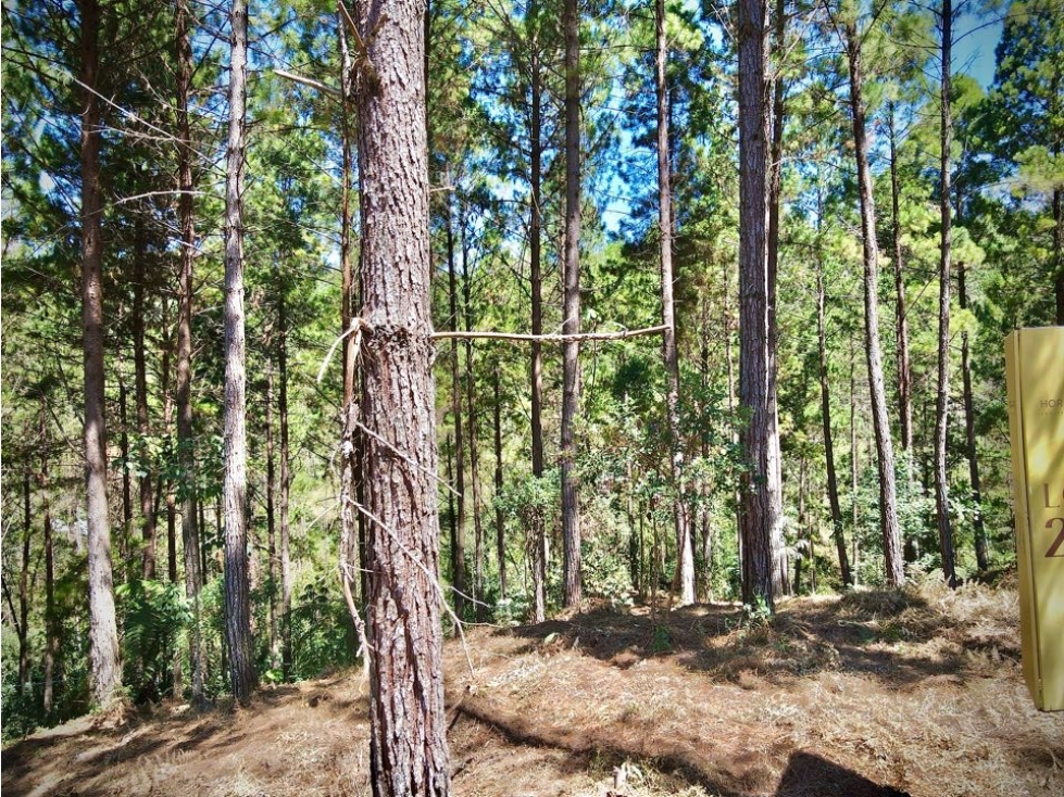 Venta Lote Parcelacion El Retiro