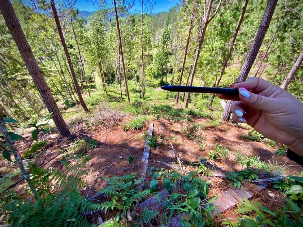 Venta Lote Parcelacion El Retiro con Bosque, Quebrada y Hermosa Vista — foto 3