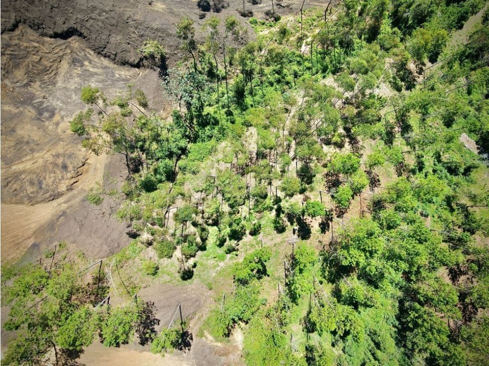 Venta Lote Parcelacion El Retiro con Bosque, Quebrada y Hermosa Vista — foto 5
