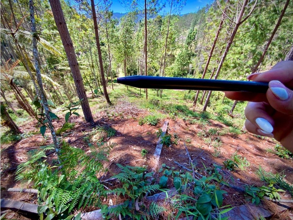 Venta Lote Parcelacion El Retiro con Bosque, Quebrada y Hermosa Vista — foto 6