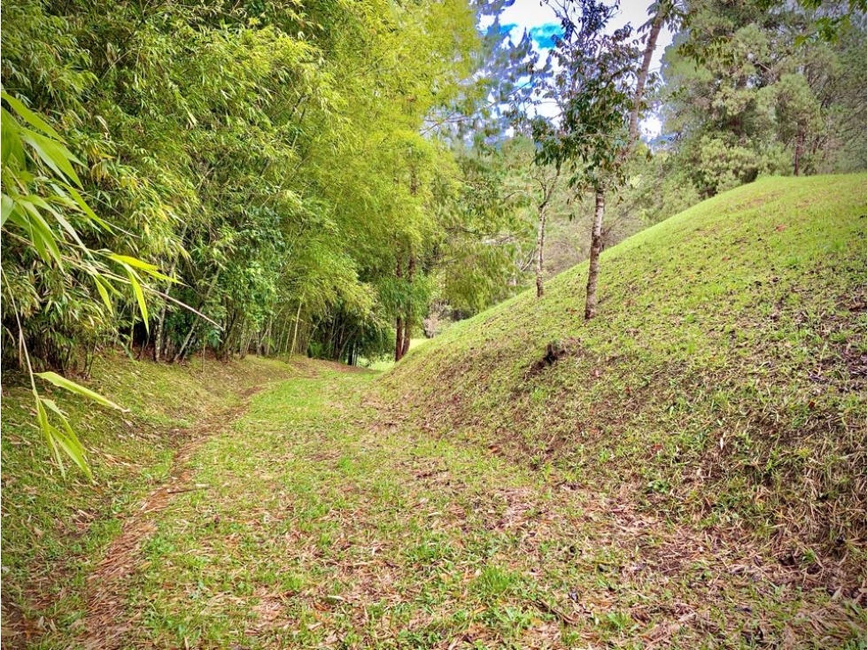 Venta Lote Parcelacion Llanogrande