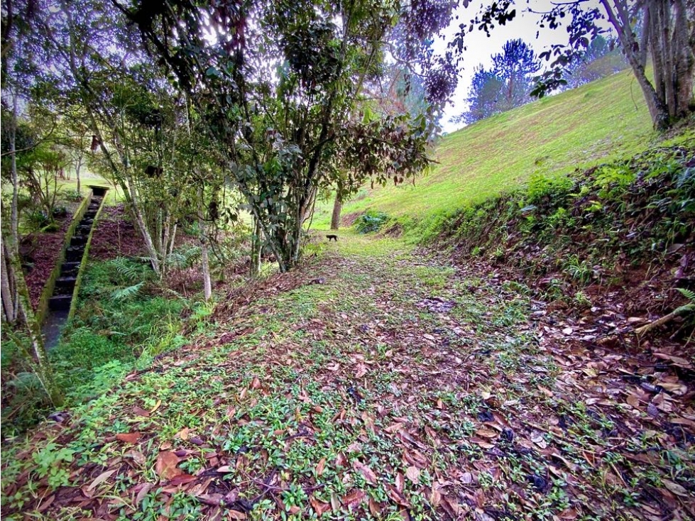 Venta Lote Parcelacion Llanogrande — foto 4