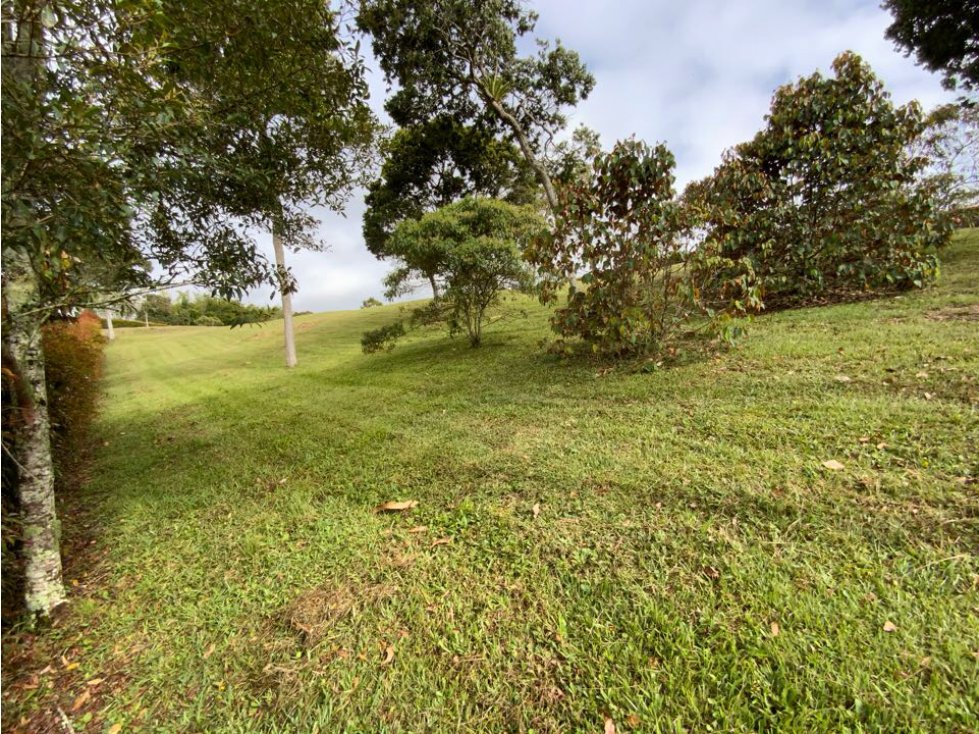 Venta Lote Semiplano Exótica Vista Lejana Parcelacion Llanogrande — foto 6