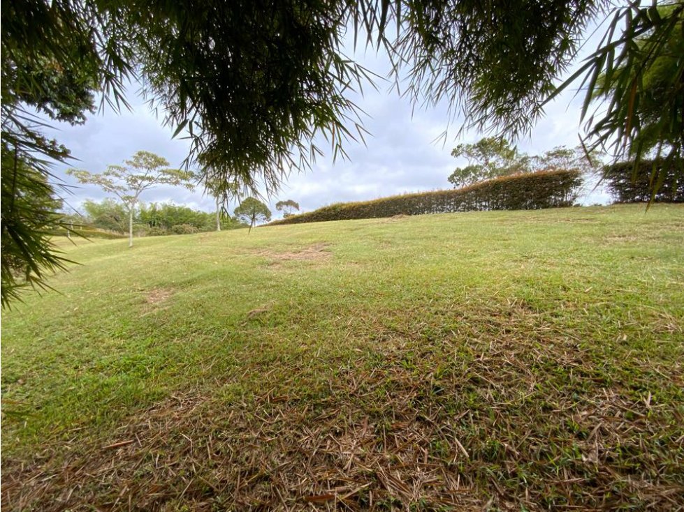 Venta Lote Semiplano Exótica Vista Lejana Parcelacion Llanogrande — foto 5