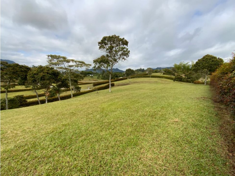 Venta Lote Semiplano Exótica Vista Lejana Parcelacion Llanogrande — foto 2