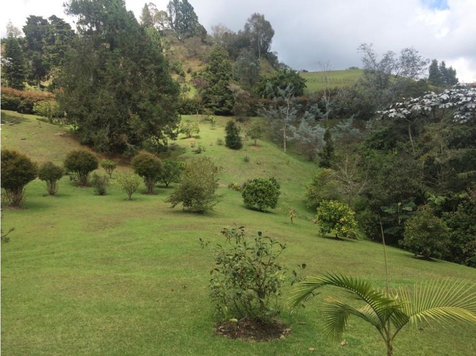 Lote Parcelacion Rancheria 5.000m2