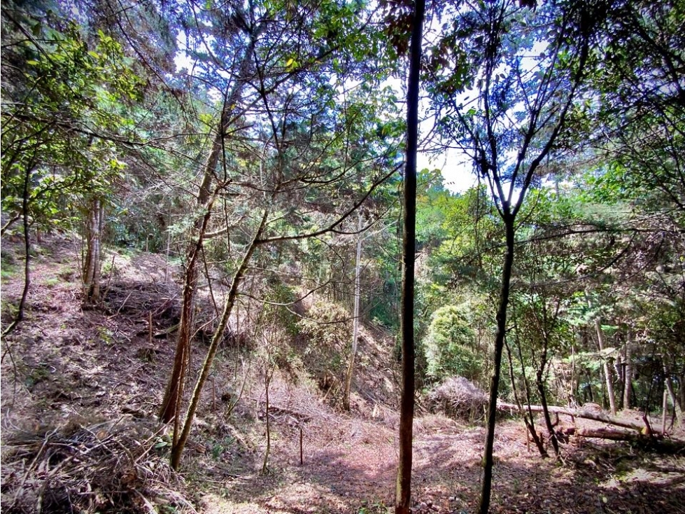Venta Lote Parcelacion VISTA REPRESA — foto 3