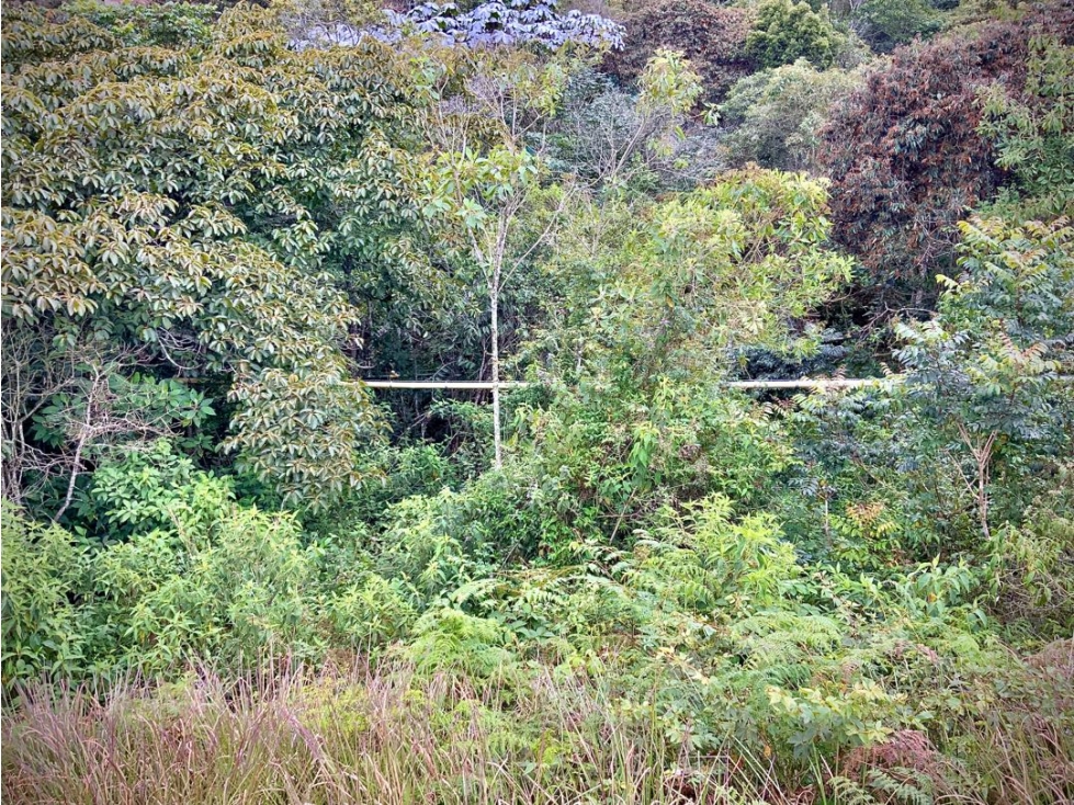 Venta Lote VISTA LEJANA Parcelacion Sector Aeropuerto Guarne — foto 5