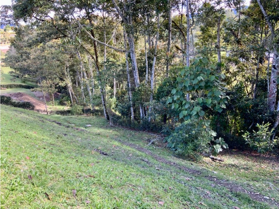 Venta Espectacular Lote CON LICENCIA Parcelacion Fizebad El Retiro — foto 5