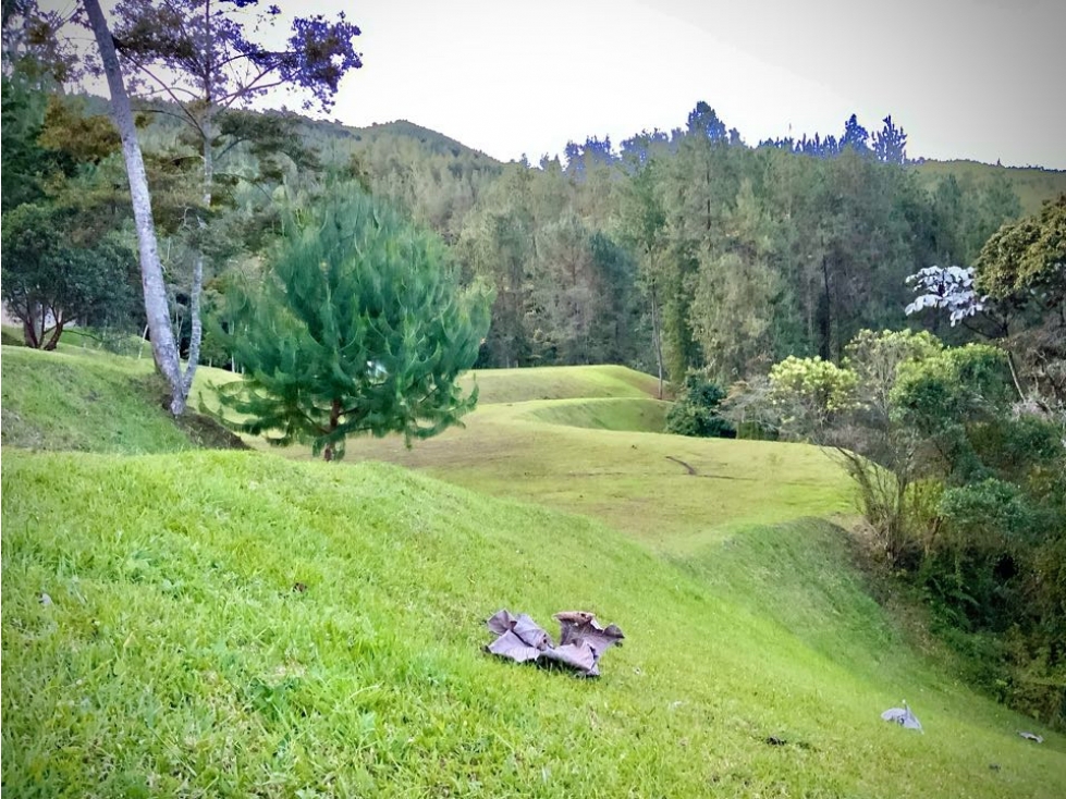 Venta Ultimos Lotes Sin Registro Vista Bosque Parcelacion Fizebad — foto 4