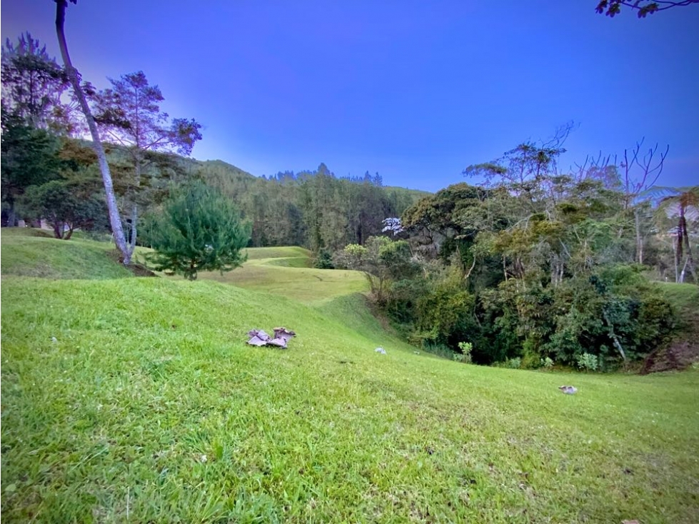 Venta Ultimos Lotes Sin Registro Vista Bosque Parcelacion Fizebad — foto 6
