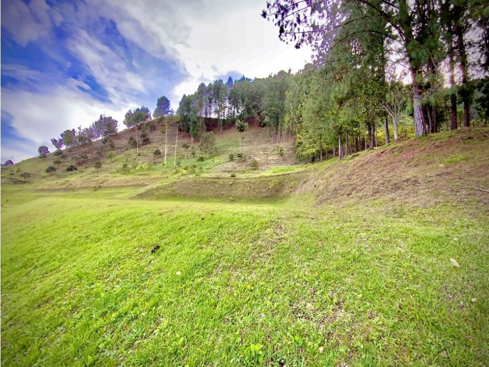 Venta Ultimos Lotes Sin Registro Vista Bosque Parcelacion Fizebad — foto 3