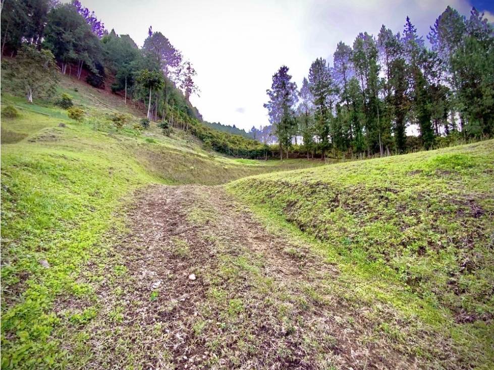 Venta Ultimos Lotes Sin Registro Vista Bosque Parcelacion Fizebad — foto 6