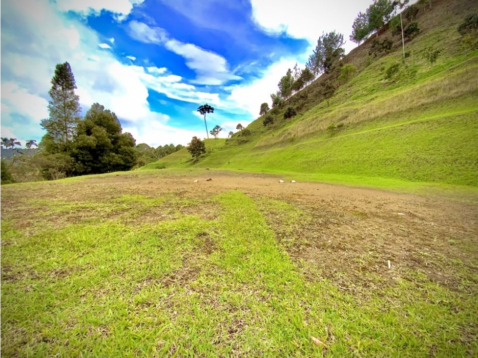 Venta Lote Parcelacion Sector Fizebad El Retiro — foto 6