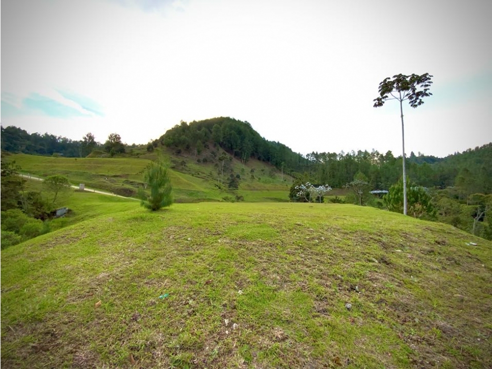 Venta Ultimos Lotes Sin Registro Vista Bosque Parcelacion Fizebad — foto 2