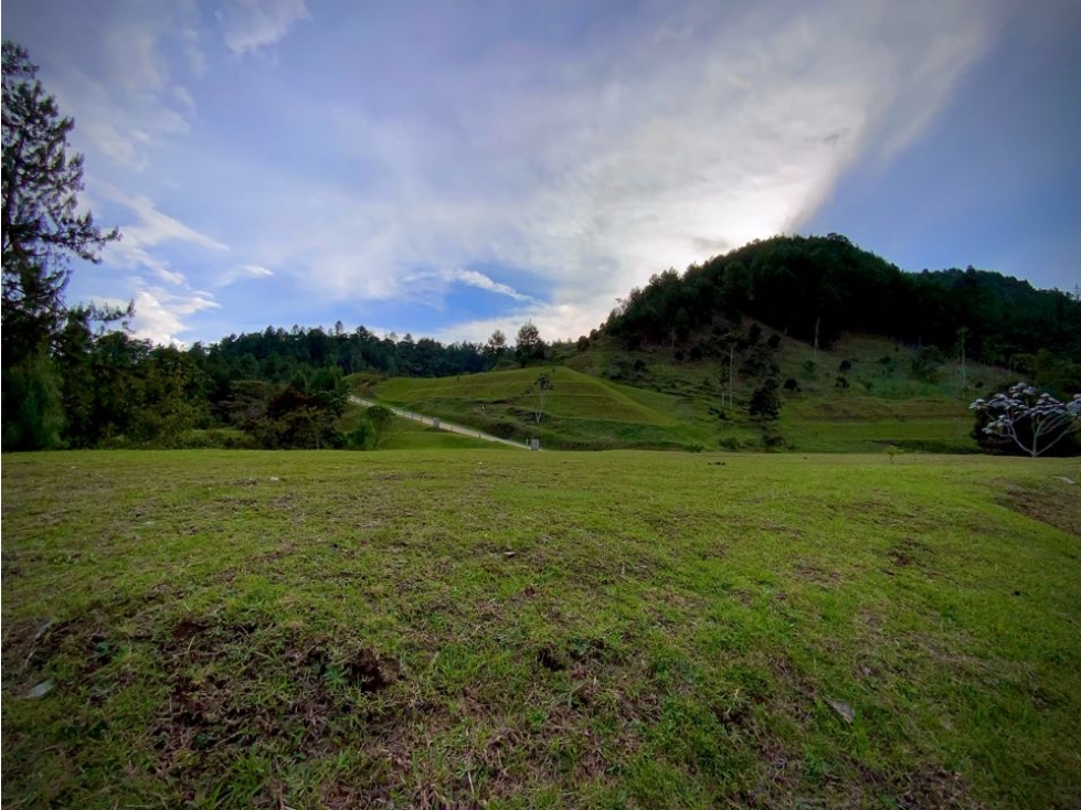Venta Ultimos Lotes Sin Registro Vista Bosque Parcelacion Fizebad — foto 3