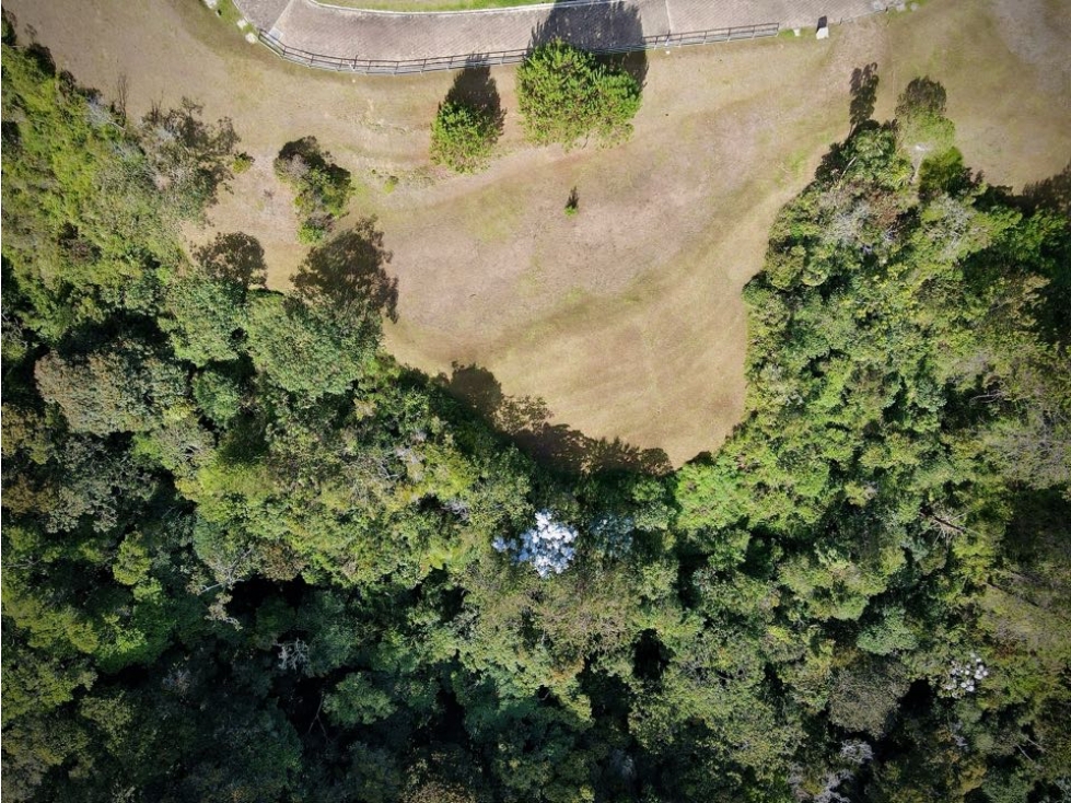 Venta Ultimos Lotes Sin Registro Vista Bosque Parcelacion Fizebad — foto 4