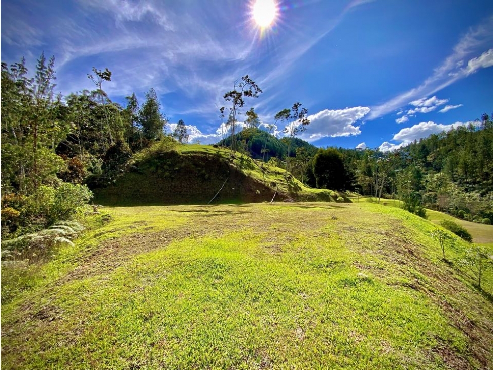 Venta Ultimos Lotes Sin Registro Vista Bosque Parcelacion Fizebad — foto 4